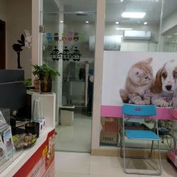 洪星1998寵物店詳細(xì)信息 電話、地址、價(jià)格、營(yíng)業(yè)時(shí)間及圖片