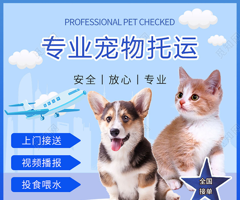 藍色幾何寵物專業(yè)寵物托運宣傳主圖 | 寵物服務主圖