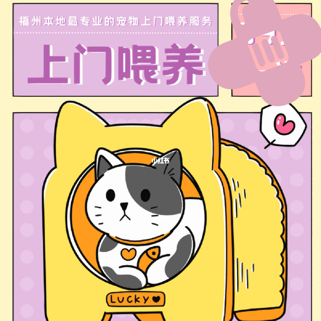 春節(jié)期間福州寵物上門喂養(yǎng)服務(wù)接單忙，用心守護(hù)毛孩子過(guò)年團(tuán)圓