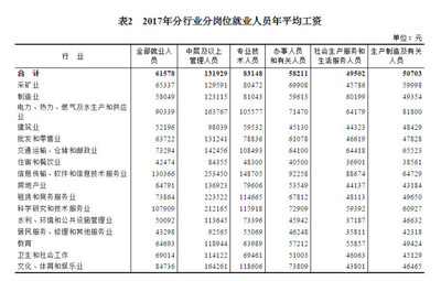 2017年規(guī)模以上企業(yè)軟件和信息技術(shù)服務(wù)業(yè)就業(yè)與投資態(tài)勢分析